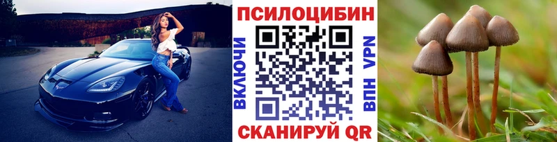 наркошоп  mega маркетплейс  Псилоцибиновые грибы Cubensis  нарко площадка официальный сайт  Норильск 